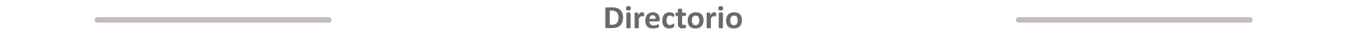 Directorio SPDI